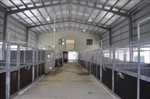 new stables